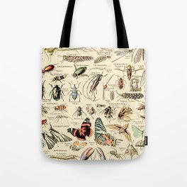 Vintage Insect Identification Chart // Arthropodes by Adolphe Millot XL 19th Century Science Artwork Tote Bag