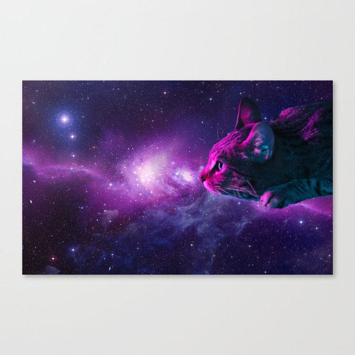 SpaceCat Canvas Print