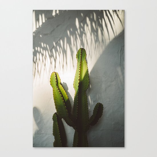 SoCal Shadows Canvas Print