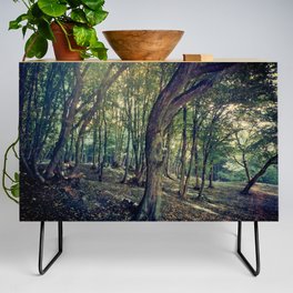 Conforting green deciduous forest landscape Credenza