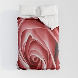 Pink Rose Macro Comforter