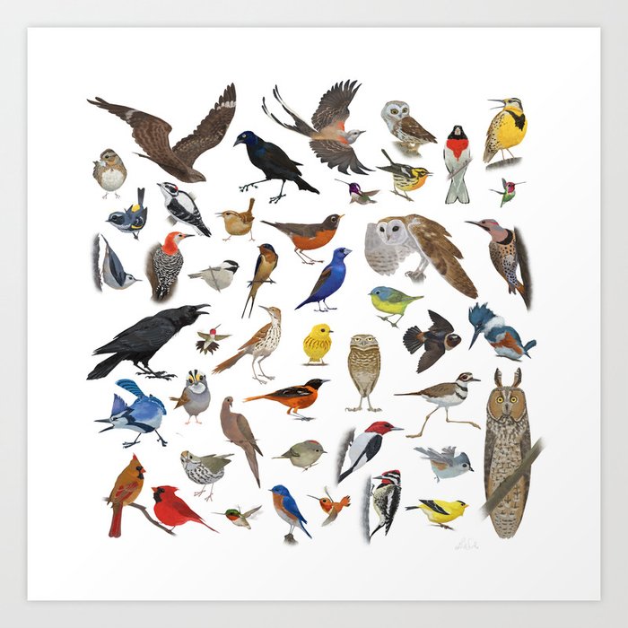 Bird Pattern Art Print
