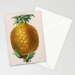 Pineapple from "Flore d’Amérique" by Étienne Denisse, 1840s Stationery Card