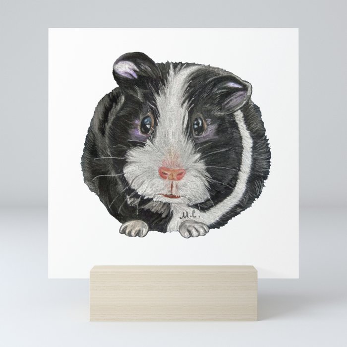 Guinea Pig  Mini Art Print
