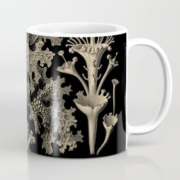 “Lichenes” from “Art Forms of Nature” by Ernst Haeckel Coffee Mug