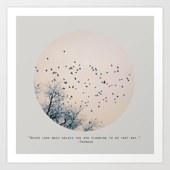 Never Art Print