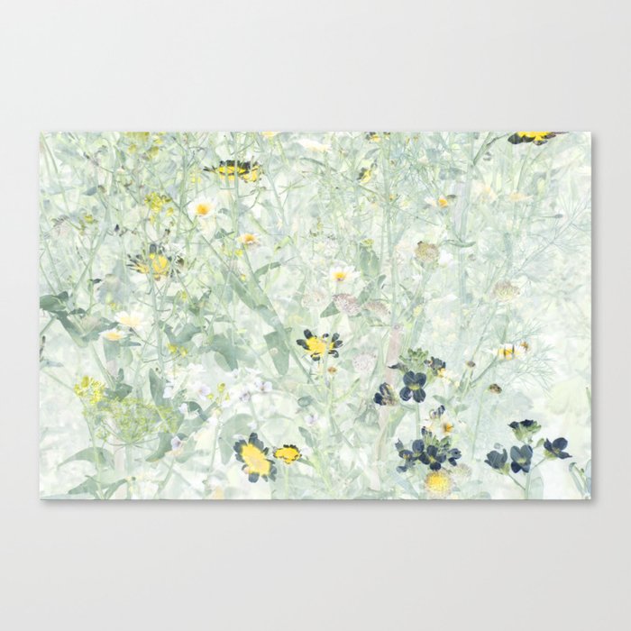 Wild Flowers V Canvas Print