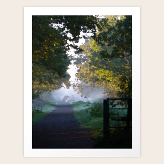 Winter Blues Art Print