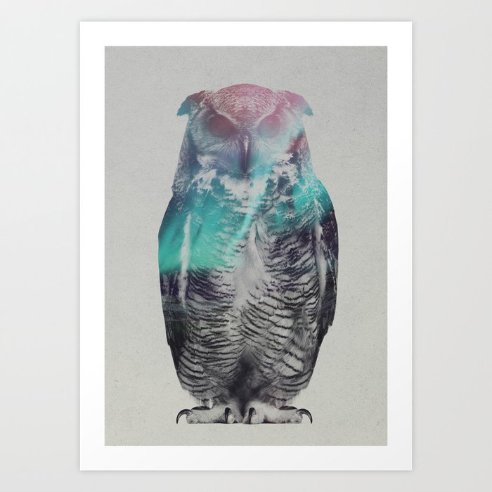 Owl In The Aurora Borealis Art Print