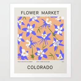 COLORADO FLOWER MARKET Art Print