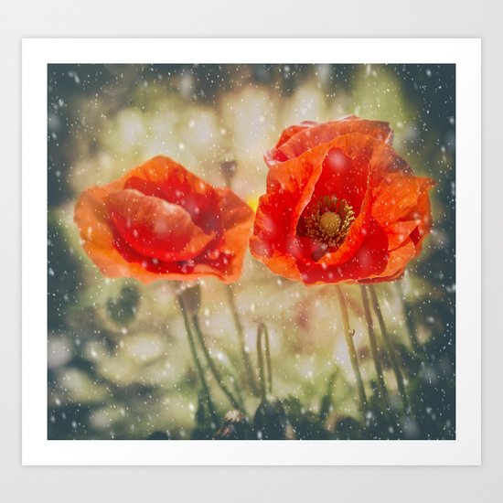 Winter Poppies Art Print