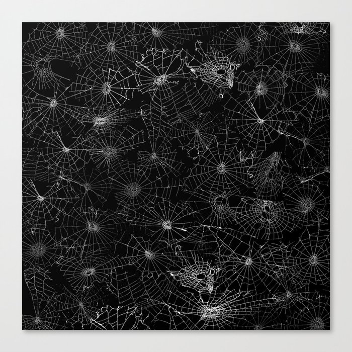 cobwebs Canvas Print