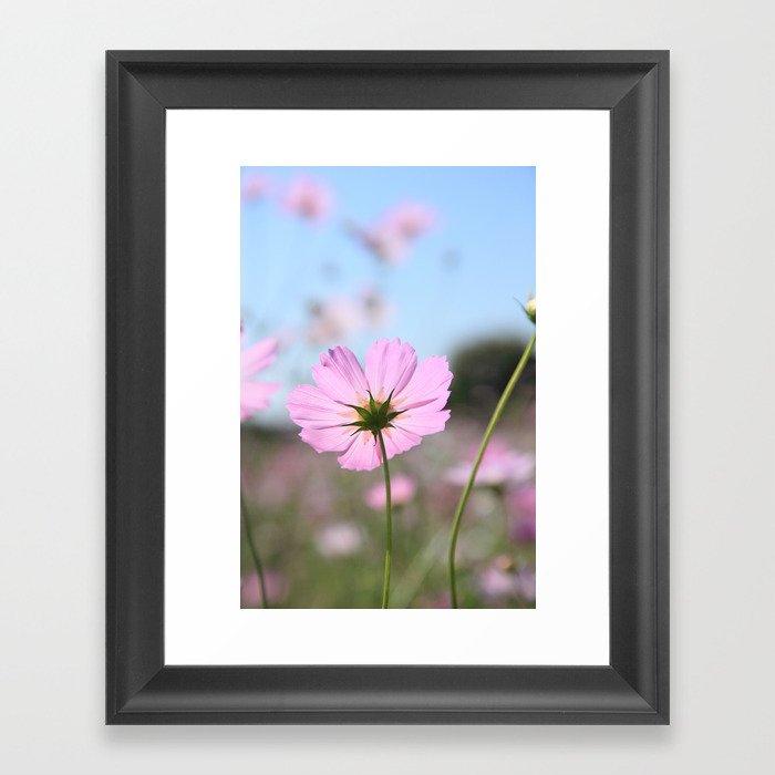 Thoughts of Spring Flowers Framed Art Print