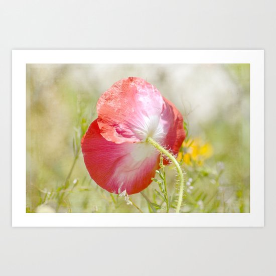 Pretty Poppy Art Print