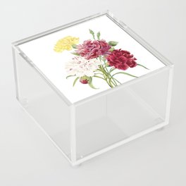 Vintage Carnation Botanical Illustration on Pure White Acrylic Box