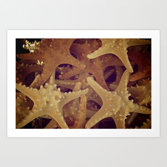 Starfish Art Print
