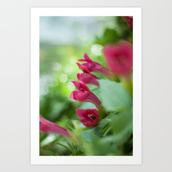 Tropical Pink Art Print