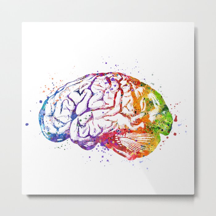 Human Brain Watercolor Anatomy Metal Print