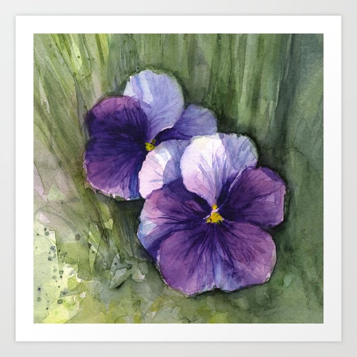 Purple Pansies Watercolor Flowers Painting Violet Floral Art Art Print