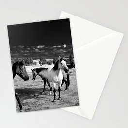 Roaming Mustangs 1 Stationery Card