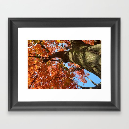 Looking Up Framed Art Print