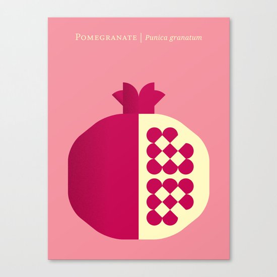 Fruit: Pomegranate Canvas Print