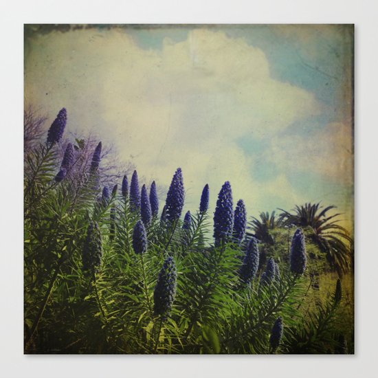 Spring Love Canvas Print