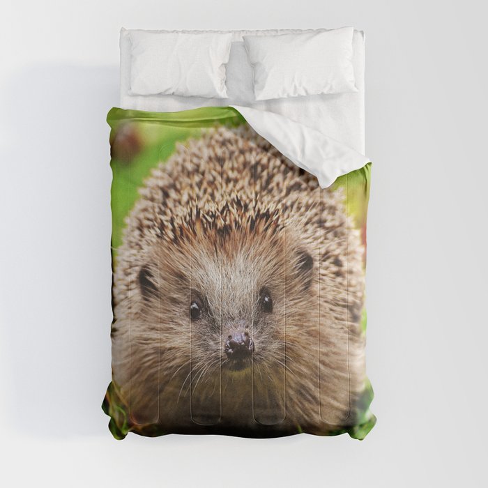 Cute Little Hedgehog Comforter