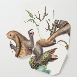 Vintage tree sloth illustration Coaster