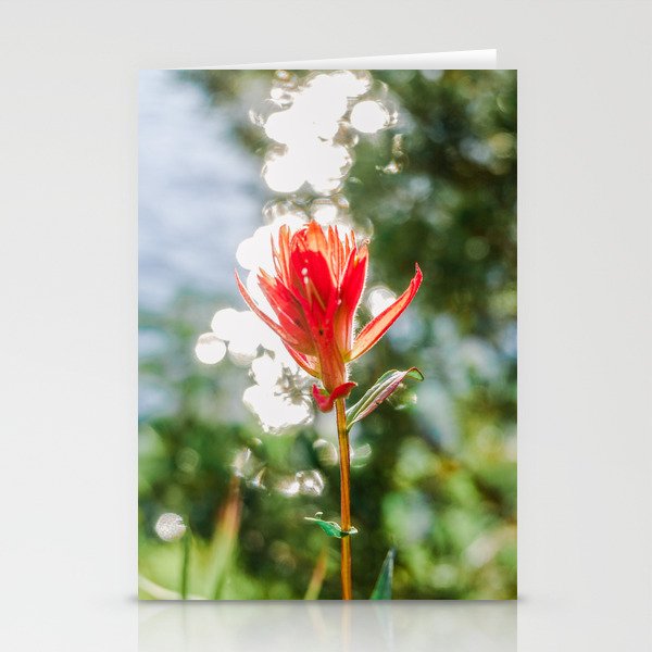 Idaho Wildflower - Nature Photography Stationery Cards