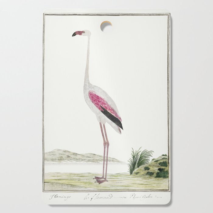 Phoenicopterus Ruber Roseus, Greater Flamingo Cutting Board