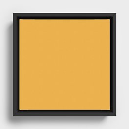 Yellow California Poppy Framed Canvas