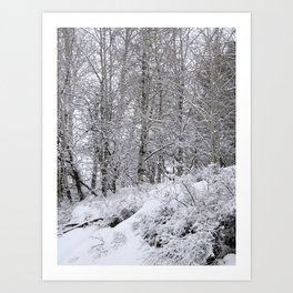 Snowy trees Art Print