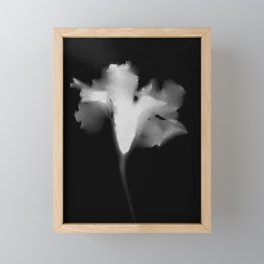 Ghostly Flower Photogram Framed Mini Art Print