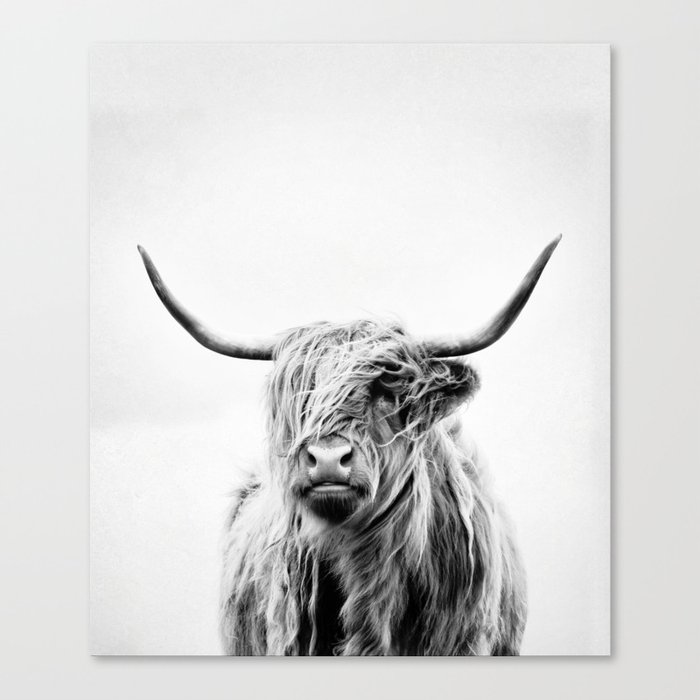 portrait of a highland cow - (vertical) Canvas Print