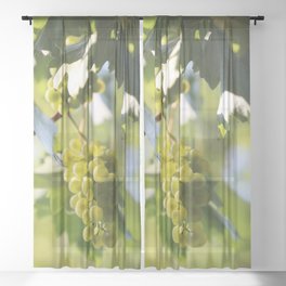 green grapes #01 Sheer Curtain