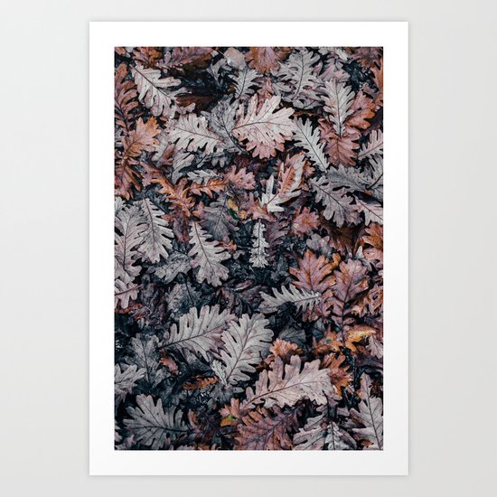 Dead Leaves Art Print
