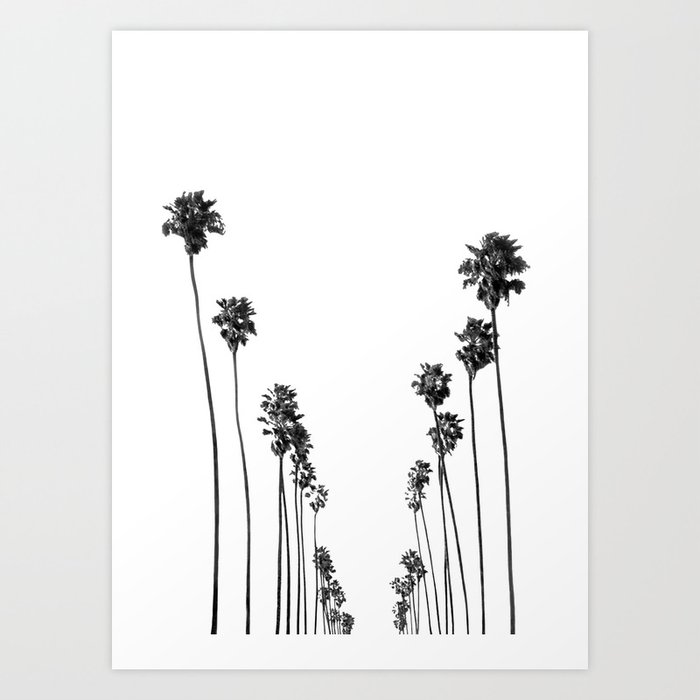 Palm Trees 8 Art Print