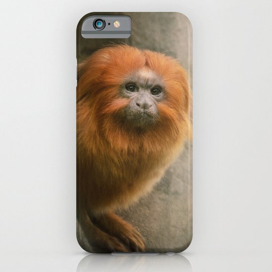 Little Golden Headed Lion Tamarin iPhone & iPod Case