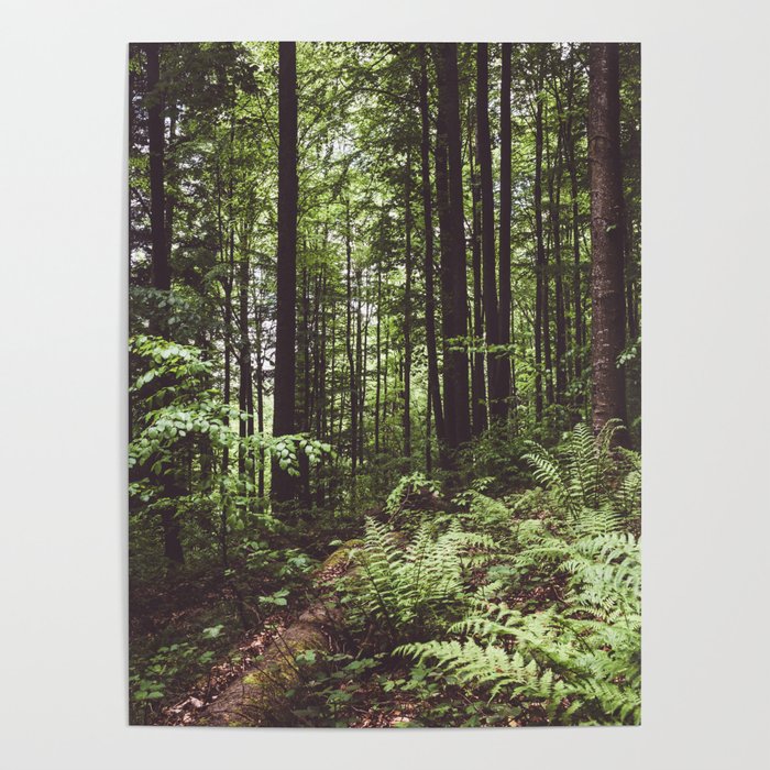 Woodland - Landscape and Nature Photography Poster by EwKaPhoto | Society6