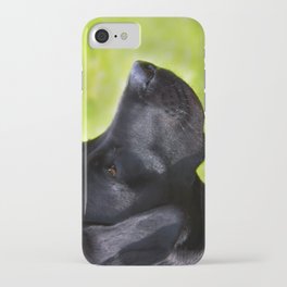 Black  Labrador iPhone Case