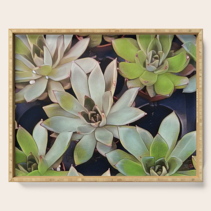 Succulent Garden Serving Tray