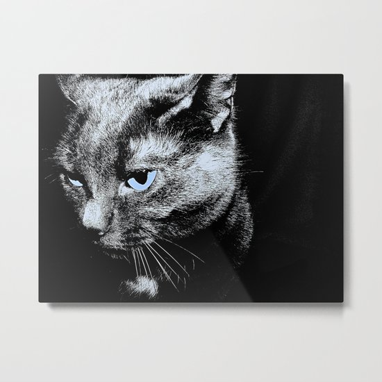 Black and White Cat with Blue Eyes Metal Print