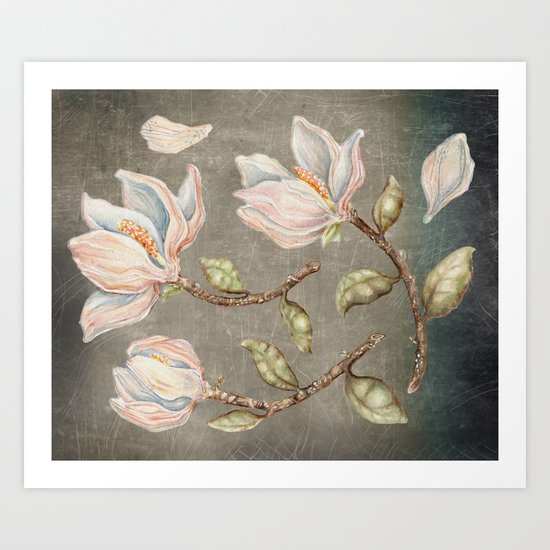 Magnolie Art Print