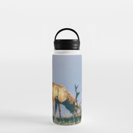 Snack Time Water Bottle