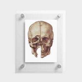 Da vinci's Skull Floating Acrylic Print