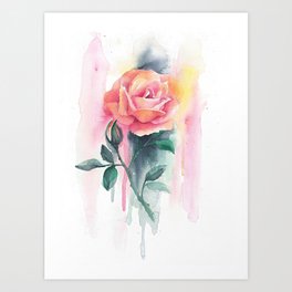 Pink Flowering Rose with Colorful Drip Background in Watercolor Art Print
