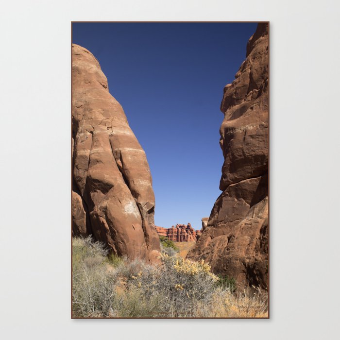 Mountain Clearing Canvas Print