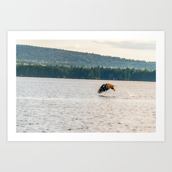 Master Fisher Art Print