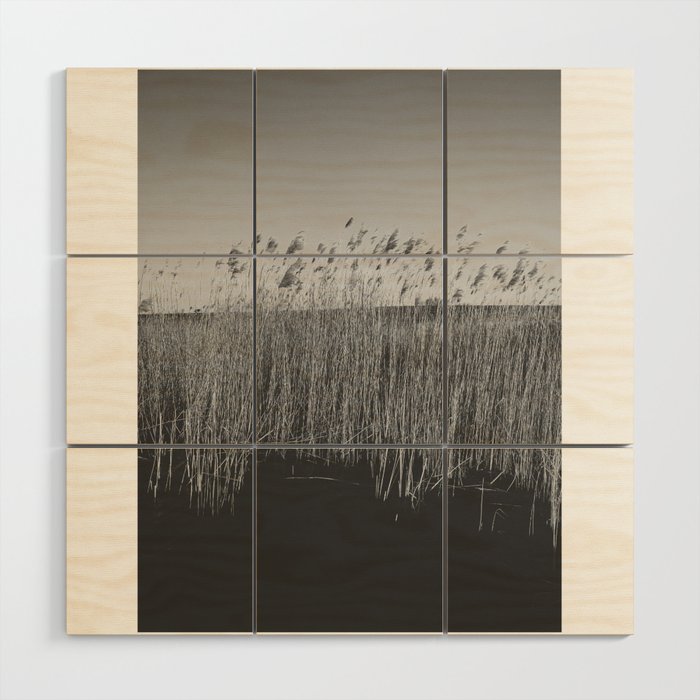 Black and white tall grass in a little lake.. Wood Wall Art